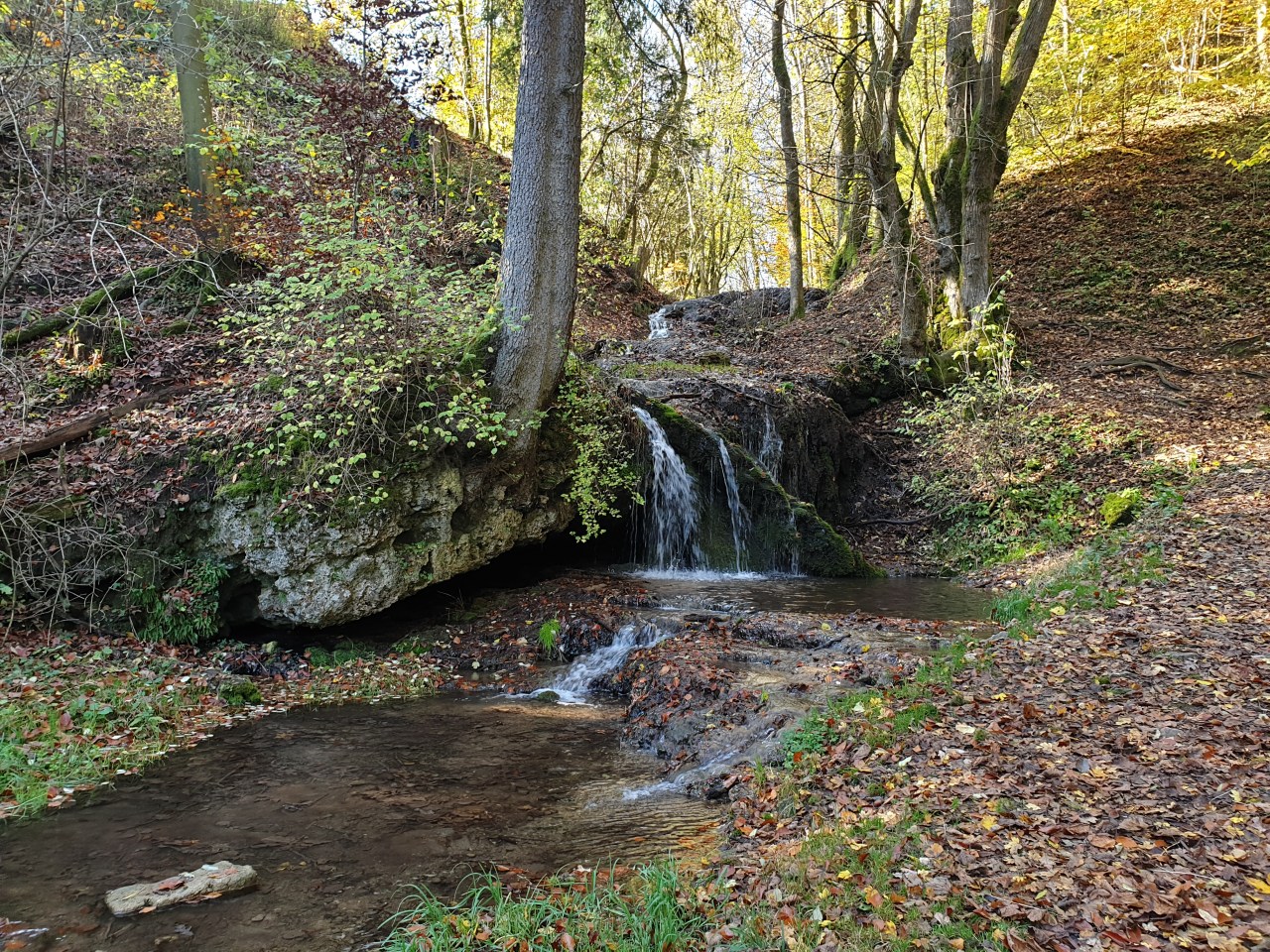 Ökosystem des Geistet