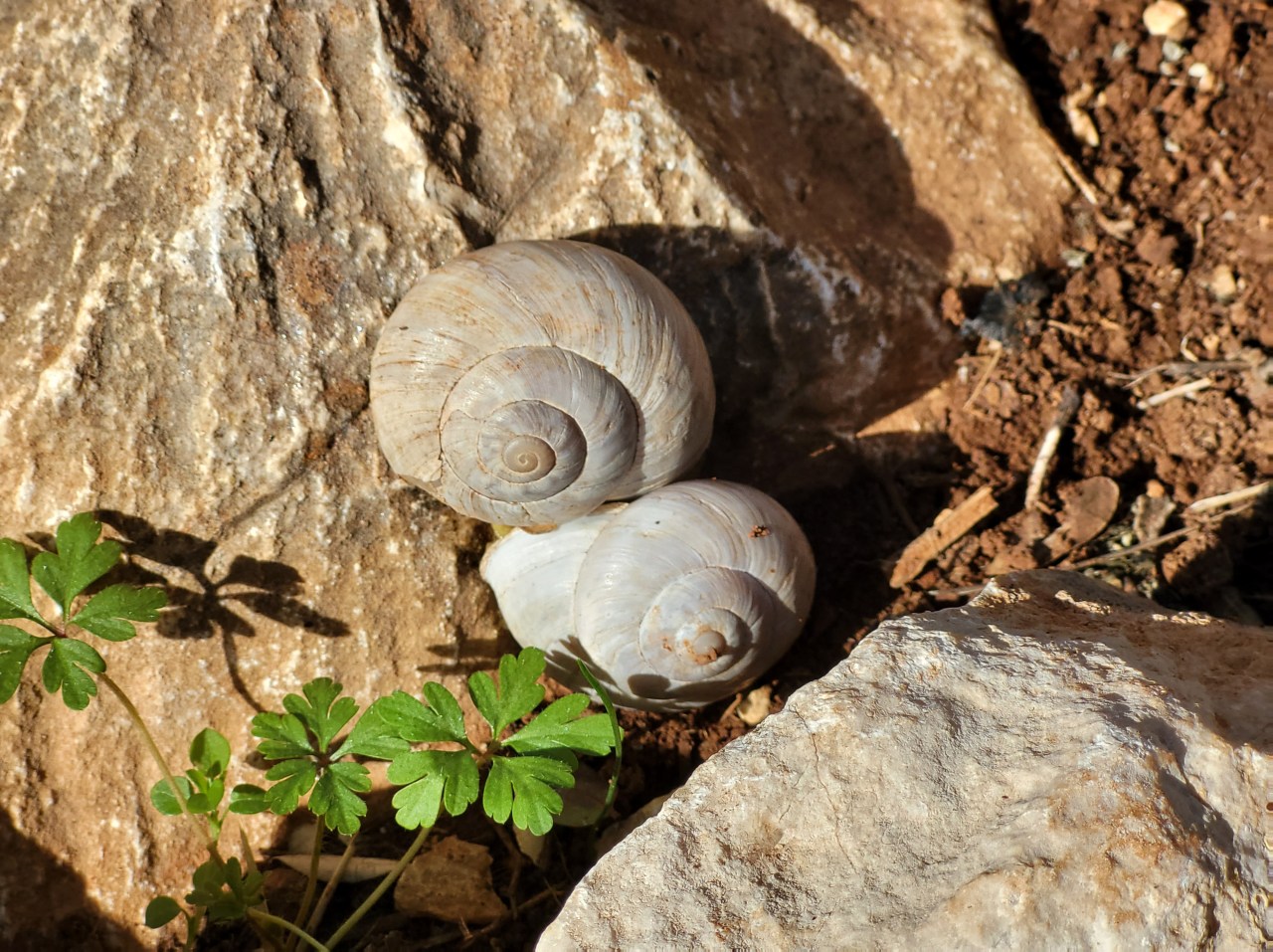 Ich schwelge auf unserer Reise nicht nur in der&nbsp;Glückseligkeit