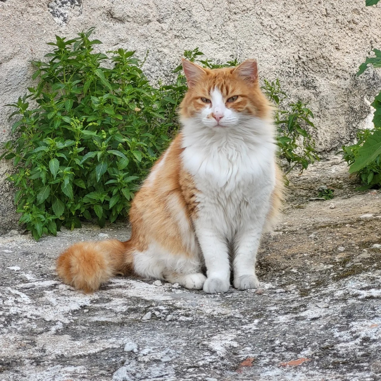 Wir waren ohne Erwartungen und dann kam&nbsp;Poros