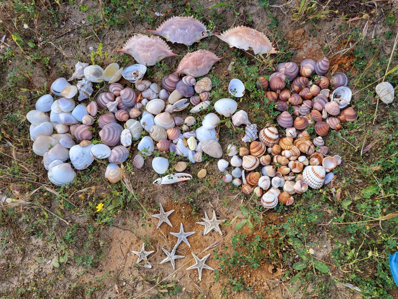 Letzte Eindrücke von Griechenland mit&nbsp;Resümee