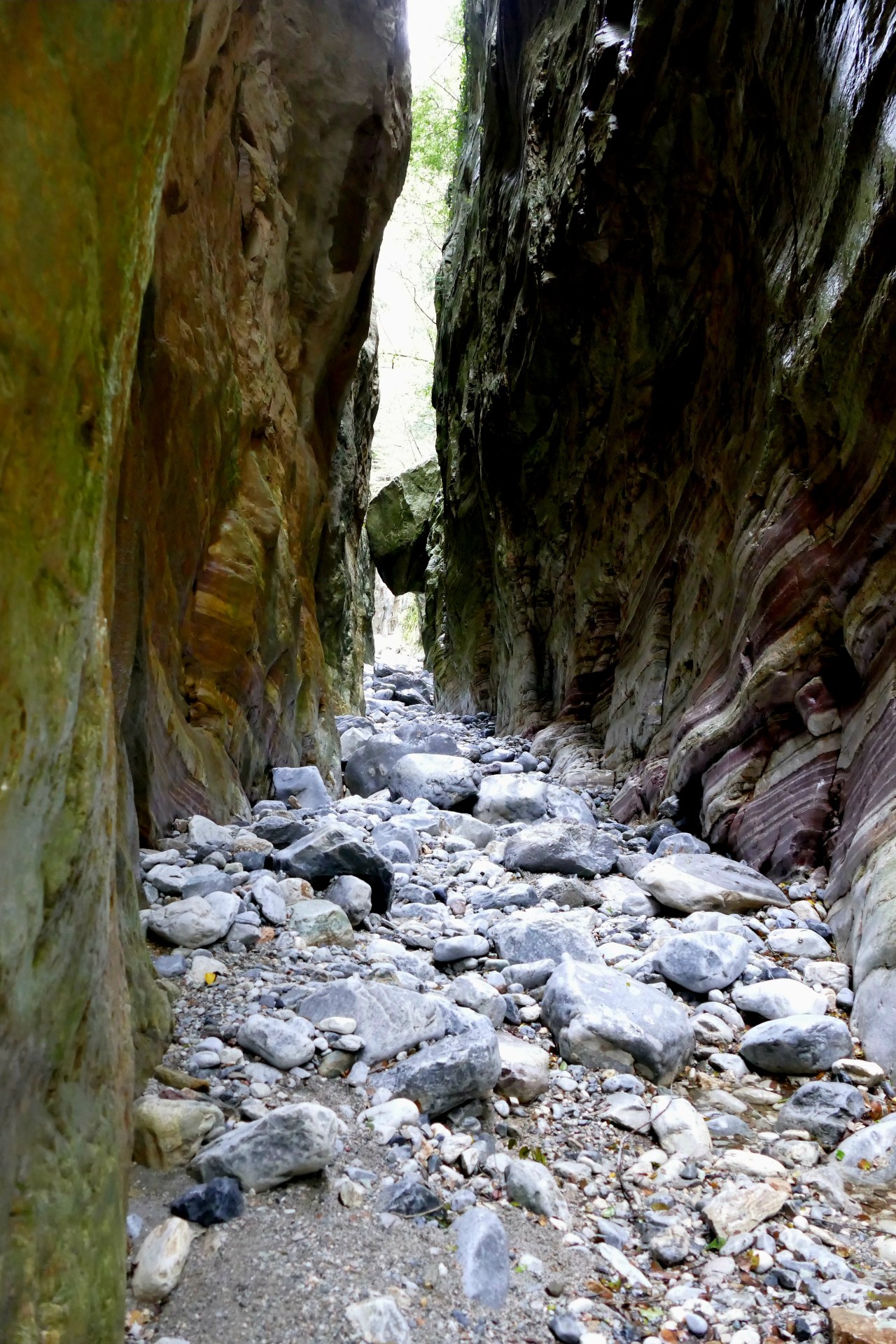 Die wunderschöne Mani im&nbsp;Frühjahr